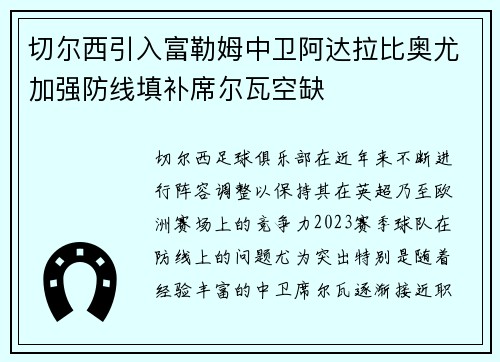 切尔西引入富勒姆中卫阿达拉比奥尤加强防线填补席尔瓦空缺 切尔西引入富勒姆中卫阿达拉比奥尤加强防线填补席尔瓦空缺